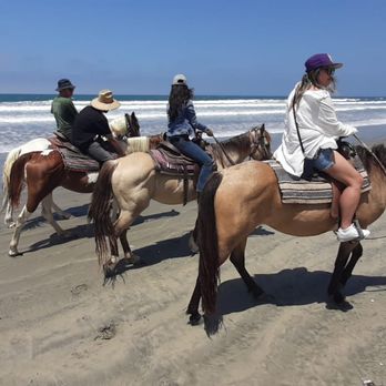 Desert Trails - Horseback Riding Near Me - Ensenada, BCN