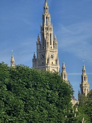 Vienna City Hall by null