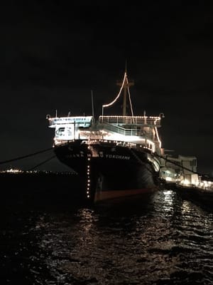 NYK Hikawa Maru by null