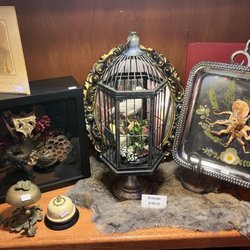 Evens&Oddities