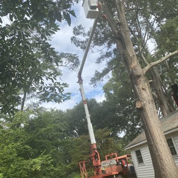 Jamez Gs Tree Service - Rigging with the bucket truck - Tree Services Near Me Jamez Gs Tree Service - Rigging with the bucket truck - Tree Services Near Me