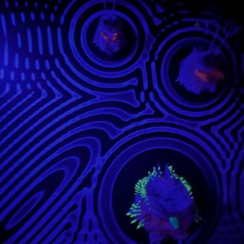 Meow Wolf - Venues & Event Spaces Near Me - Denver, Colorado