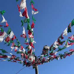 Taquería Doña Raquél