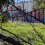 Horizontes Mural