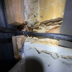 Myles Davis Electric - Butchered post and no nail guard.
