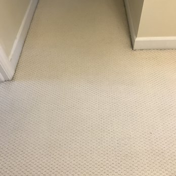 Wilkins Carpet Cleaning - Carpet Cleaning Near Me - Rocky Mount, North Carolina Wilkins Carpet Cleaning - Carpet Cleaning Near Me - Rocky Mount, North Carolina