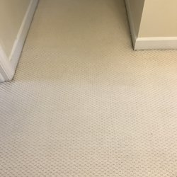 Wilkins Carpet Cleaning