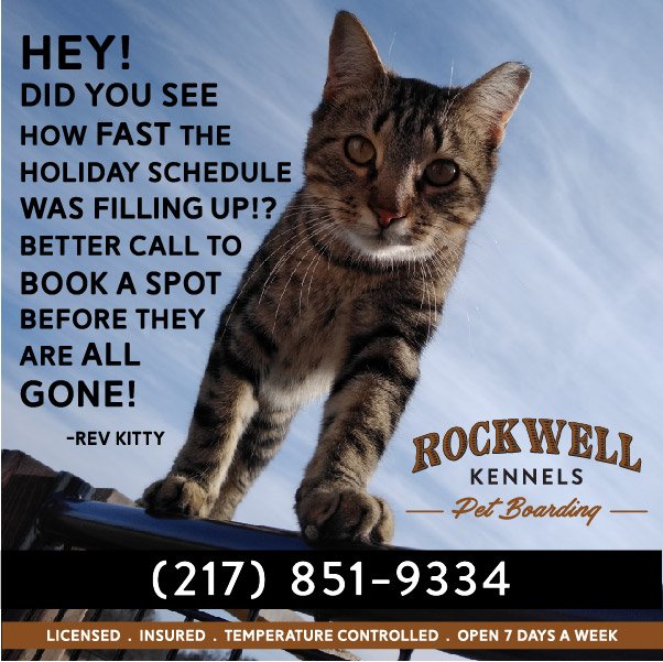 ROCKWELL KENNELS PET BOARDING AND DAYCARE Updated September 2024 15