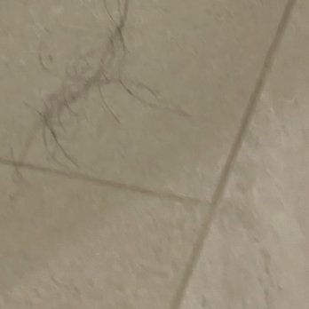 Fairfield by Marriott Inn & Suites Knoxville Clinton - Hair in bathroom - Hotels Near Me - Clinton, Tennessee Fairfield by Marriott Inn & Suites Knoxville Clinton - Hair in bathroom - Hotels Near Me - Clinton, Tennessee