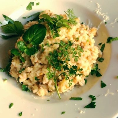 Café Botanico by null