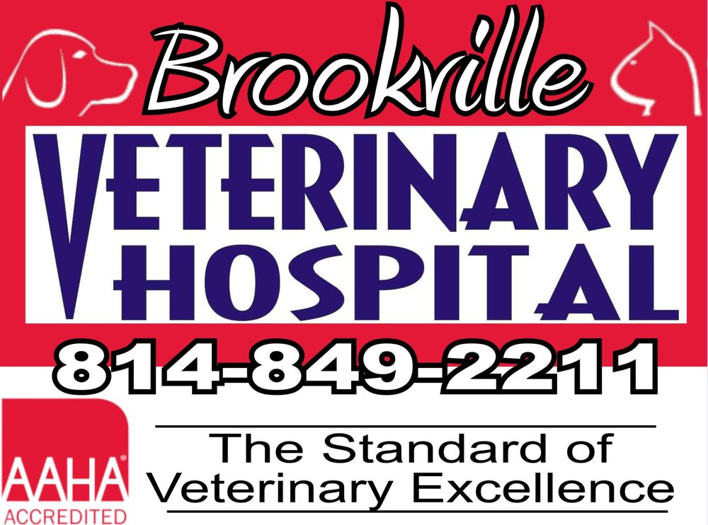 BROOKVILLE VETERINARY HOSPITAL Updated September 2024 103 Allegheny