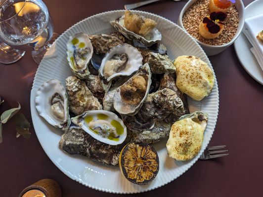 The Pescatarian by null