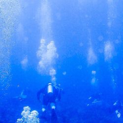 St Croix Ultimate  Bluewater Adventures - Divers