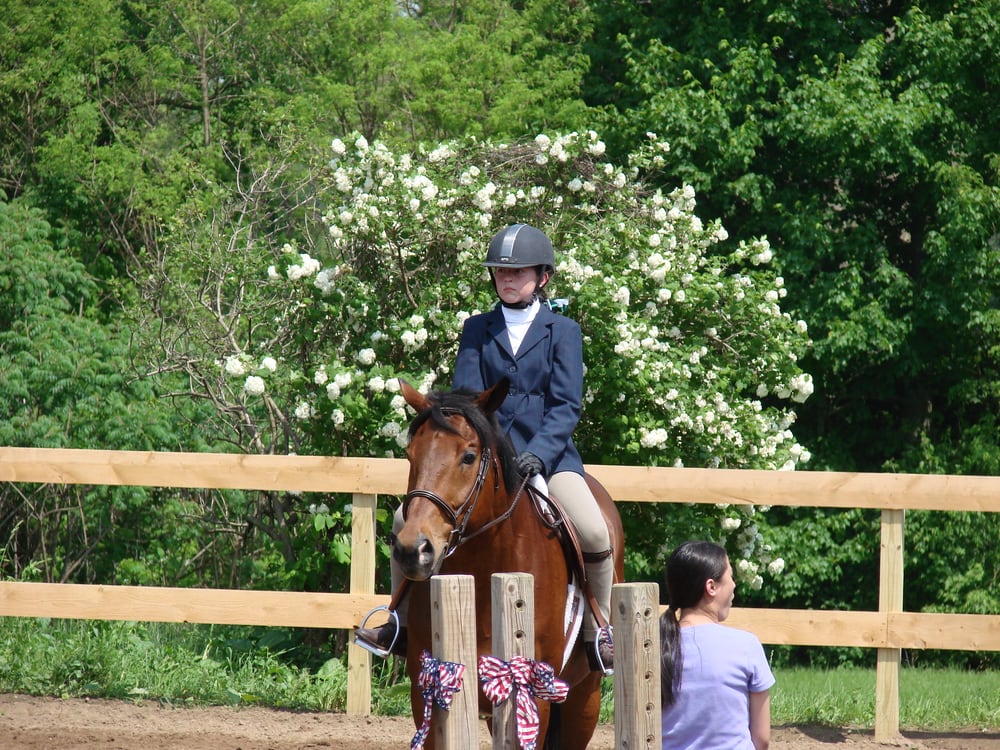 Daniluk Farm & Stables, LLC - equestrian in Camillus, NY