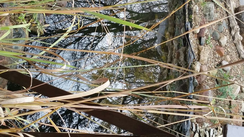 OAKLAND MILLS PARK Updated September 2024 14 Photos 2591 Nature