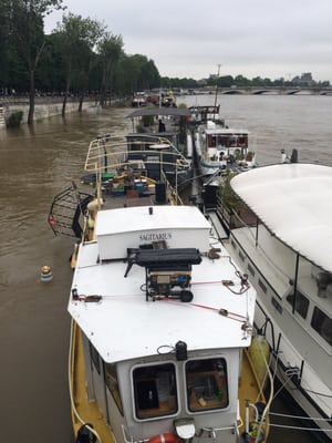 Berges de Seine by null