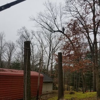 Daniels Tree Care - Tree Services Near Me - Coshocton, Ohio Daniels Tree Care - Tree Services Near Me - Coshocton, Ohio