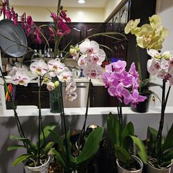 Heights Flower Shoppe
