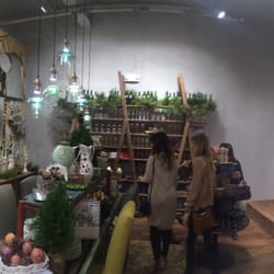 Anthropologie