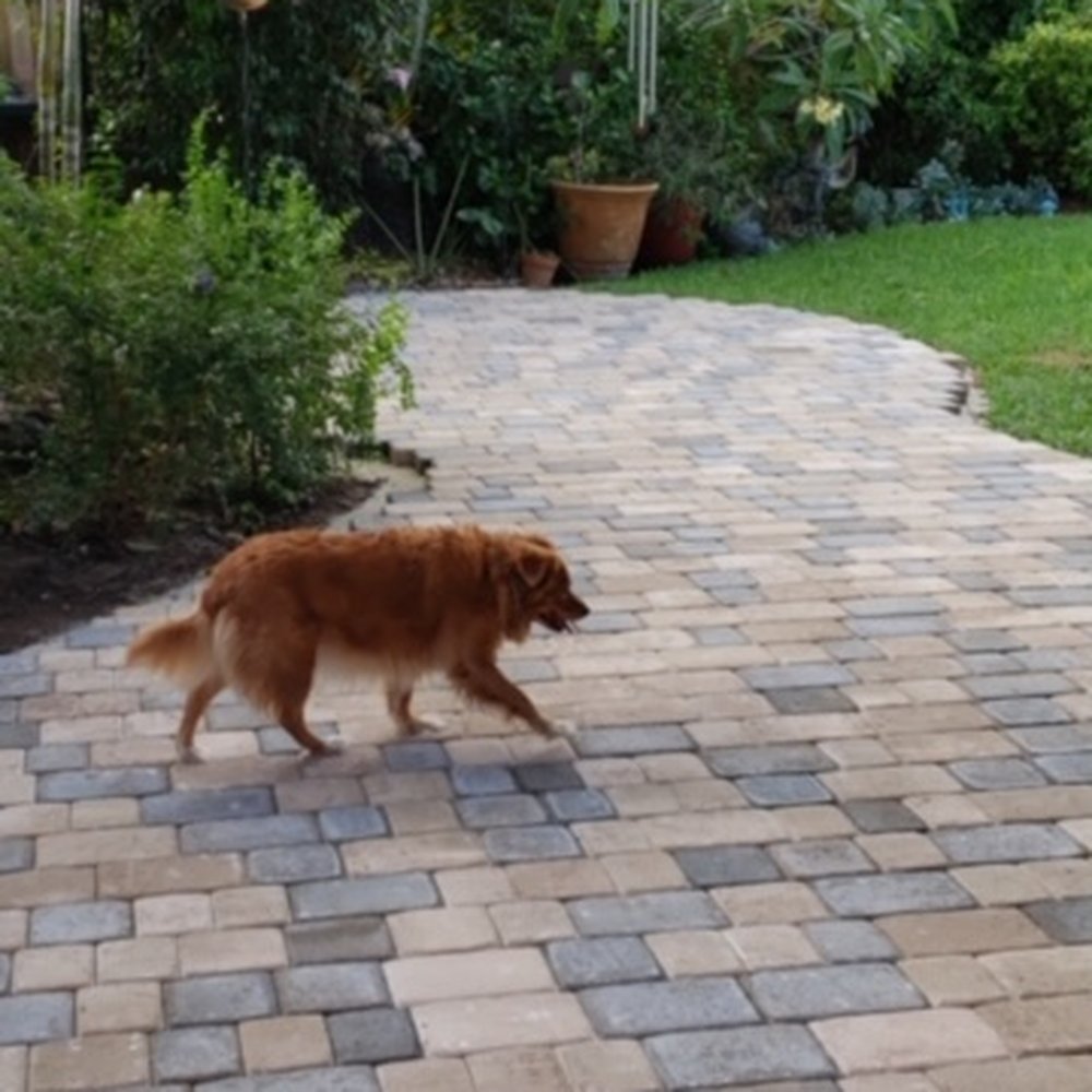 Pavers laid by Anderson landscaping Pavers laid by Anderson landscaping