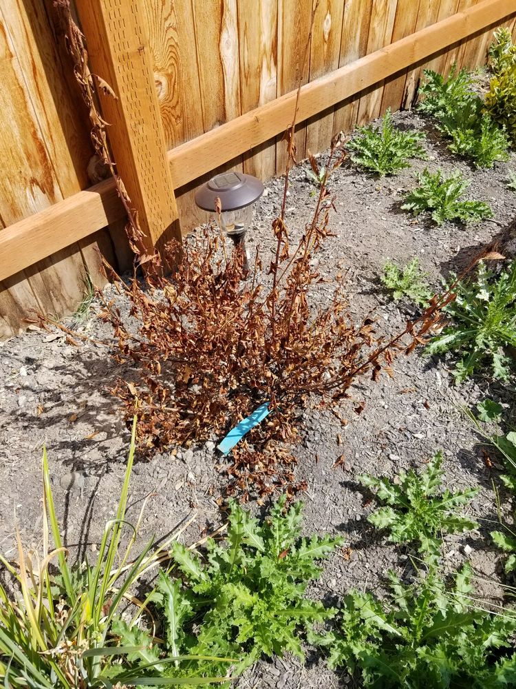 BELL SPRINKLER & LANDSCAPE MANAGEMENT INC Updated August 2024 10