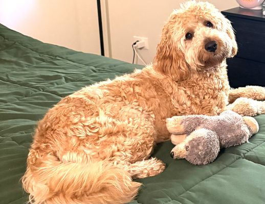 Happy Tails Animal Hospital