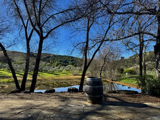 McEvoy Ranch by null