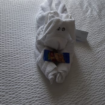 Fairfield Inn Ontario - This cute little towel dog holding peanuts was a wonderful greeting!! - Hotels Near Me - Ontario, California Fairfield Inn Ontario - This cute little towel dog holding peanuts was a wonderful greeting!! - Hotels Near Me - Ontario, California