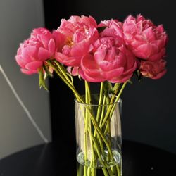 NZ Floral Studio - Peonies, check availability before ordering