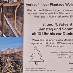 Tannenbäume