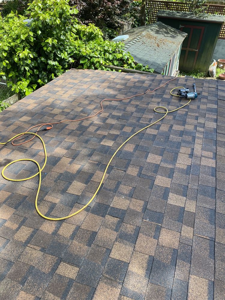 Slide of Damyan Repairs