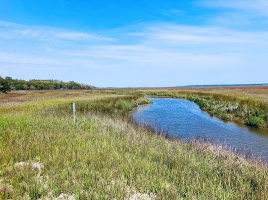 Cannon's Point Preserve by null