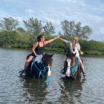 Carousel Sea Horses - Horseback Riding Near Me - Bradenton, Florida