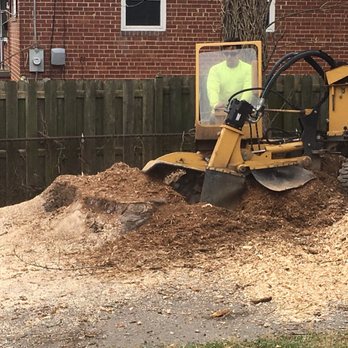 Romeo's Tree Service - Tree Services Near Me - Glenn Dale, Maryland Romeo's Tree Service - Tree Services Near Me - Glenn Dale, Maryland