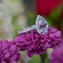 Photo of Gunderson's Jewelers