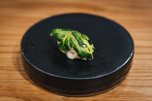 Sushi Salon by null