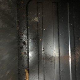 The oven
