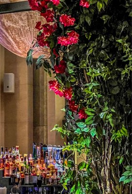 Avra Miami by null