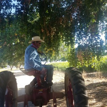 Mortimer Farms - Attraction Farms Near Me - Dewey, Arizona Mortimer Farms - Attraction Farms Near Me - Dewey, Arizona