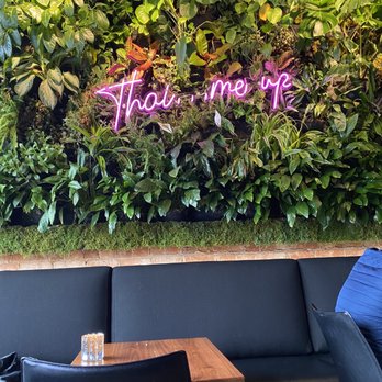 BODHI - Plant wall - Thai Near Me - Indianapolis, Indiana BODHI - Plant wall - Thai Near Me - Indianapolis, Indiana