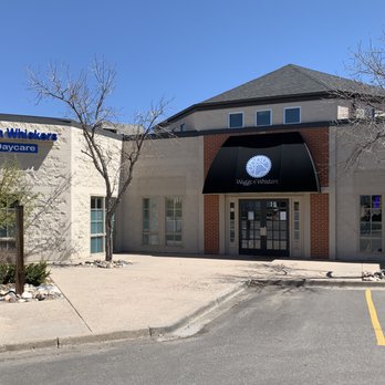 Waggs n' Whiskers Pet Daycare - Pet Training Near Me - Centennial, Colorado Waggs n' Whiskers Pet Daycare - Pet Training Near Me - Centennial, Colorado