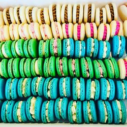 GoPastries - Delicious macarons with flavorful buttercream fillings