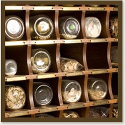 Jade Mountain Health - Chinese Herbs