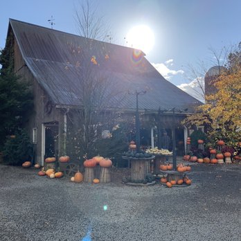 Gordon Skagit Farms - Fruits & Veggies Near Me - Mount Vernon, Washington Gordon Skagit Farms - Fruits & Veggies Near Me - Mount Vernon, Washington