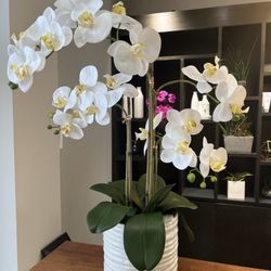 Blooming Orchid Wellness - Reception area