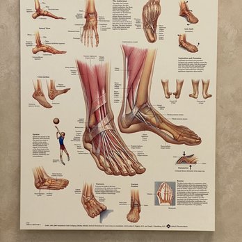 Kenneth Goranson, MD - Sports Medicine Near Me - Mountain View, California Kenneth Goranson, MD - Sports Medicine Near Me - Mountain View, California