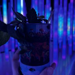 Hopscotch - Portland - Rainbow Cave Mule