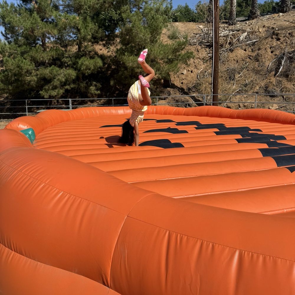 Greenspot Farm - Such a Flipping great time!!!! - Farmers Market Near Me - Mentone, California