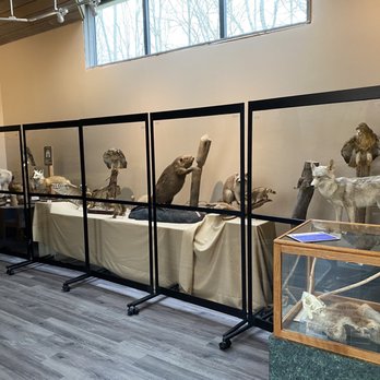 Caesar Creek Visitor Center - Wildlife exhibit - Visitor Centers Near Me - Waynesville, Ohio Caesar Creek Visitor Center - Wildlife exhibit - Visitor Centers Near Me - Waynesville, Ohio
