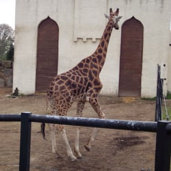 Bretagne Zoo